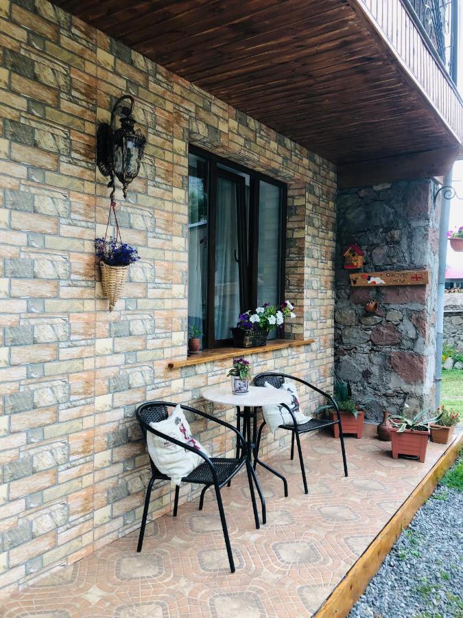 Ia'S Guest House Kasbegi Buitenkant foto