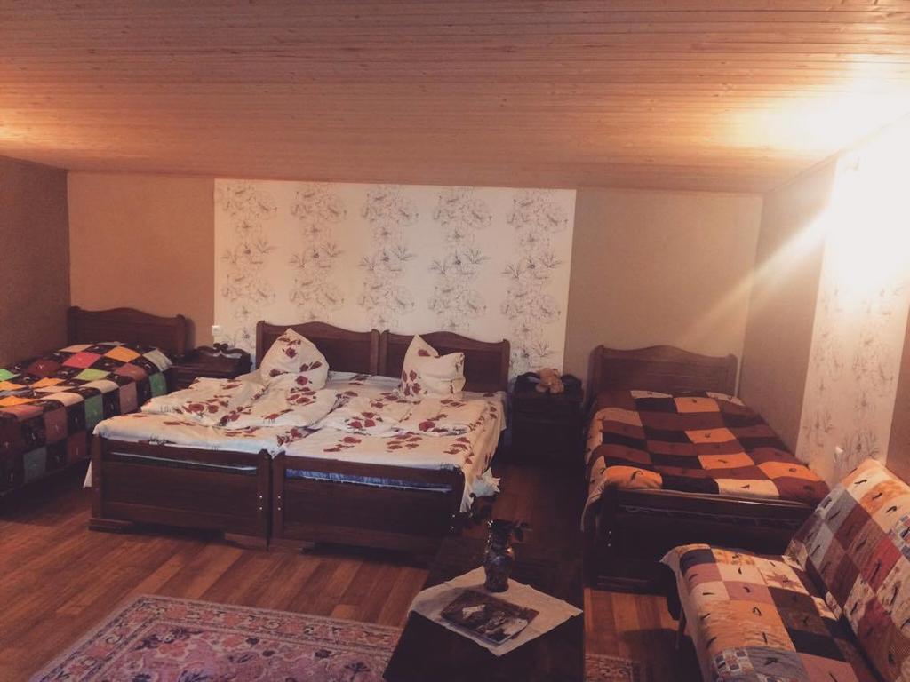 Ia'S Guest House Kasbegi Buitenkant foto